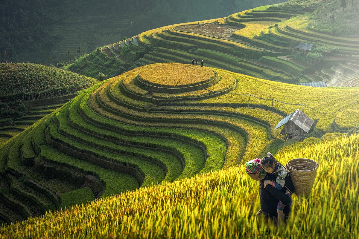 Sapa trekking tour 1 day