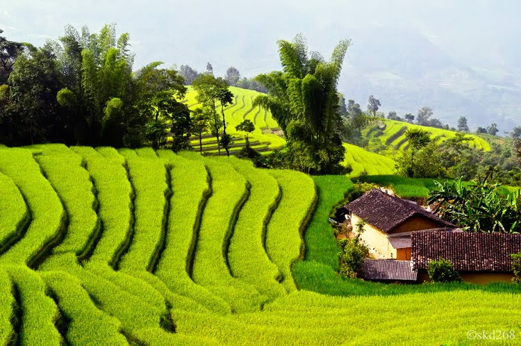 Mai Chau 1 day tour