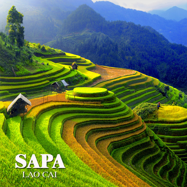 sapa trekking tour