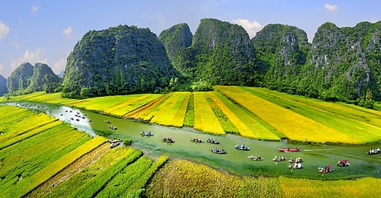 Hoa Lu - Tam Coc (Full day)